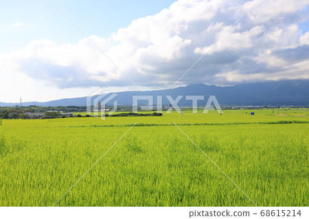 佐渡島的田園風光 佐渡島的田園風光 68615214