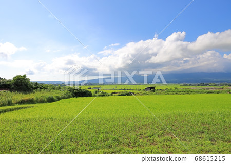 佐渡島的田園風光 佐渡島的田園風光 68615215