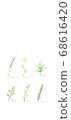 6 herbs wallpaper for smartphone 68616420