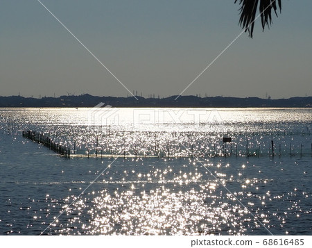 Lake surface and seaweed farm shining in the setting sun 68616485