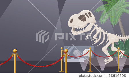 Illustration of a museum displaying dinosaur fossils_frame_16:9 68616508