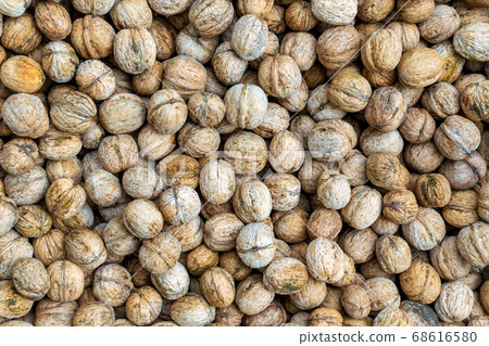 walnuts nuts under hard sun. Top view. Background for seasonal, vegan and healthy eating. 68616580