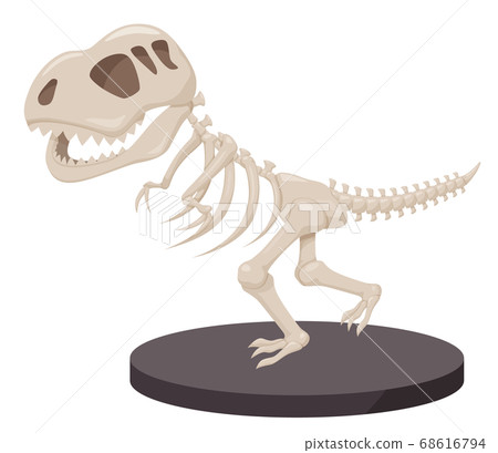 Illustration of fossil Tyrannosaurus displayed on the base_dinosaur 68616794