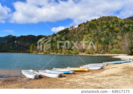 Autumn Suganuma colored leaves Autumn Suganuma colored leaves 68617175
