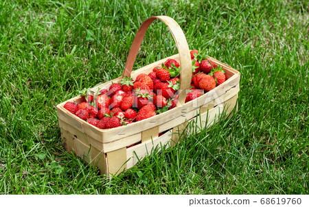 Wooden basket with red strawberries on green grass 68619760