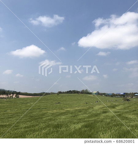 高昌市青Bar田 68620801