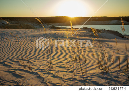 Footprints in the sand in the desert. The road to the oasis. Sunset. 68621754