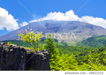 Mt. Asama and Azalea 3 68622532