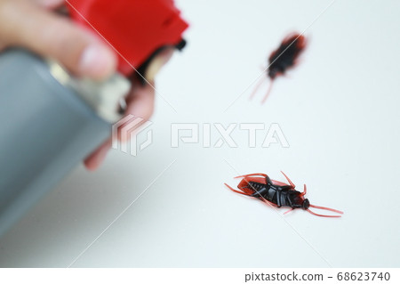 家庭主婦用殺蟲劑撲滅廚房中出現的蟑螂 68623740