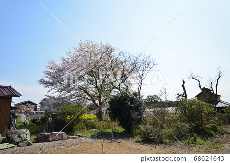 我的花園#17的風景 我的花園#17的風景 68624643