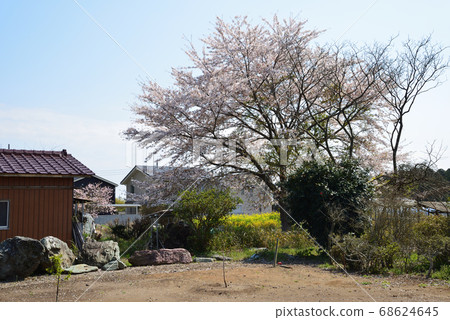 我的花園＃15的風景 68624645