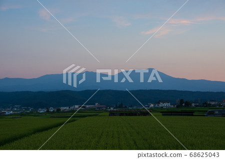 日本風景與美麗的山脈和稻田在夏天的黃昏 68625043