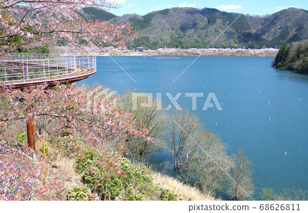 View of dam lake in spring in Akitakata city View of dam lake in spring in Akitakata city 68626811