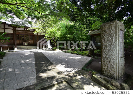 恩卡庫吉·恩瑪杜 68626821