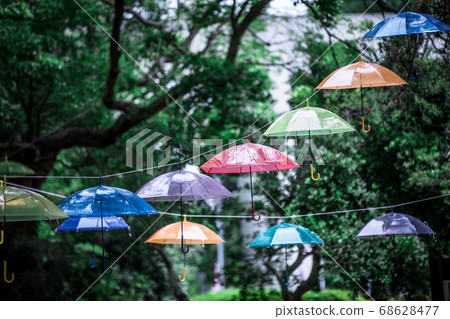 Umbrella Umbrella 68628477