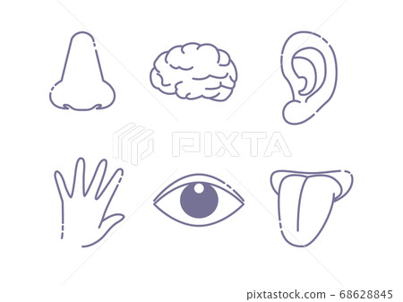 Five senses image and brain/icon set Five senses image and brain/icon set 68628845