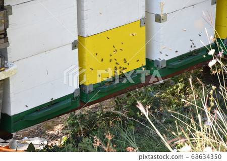 Beehive Beehive 68634350