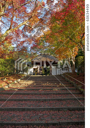 Autumn Temple of Ango Temple 68634499