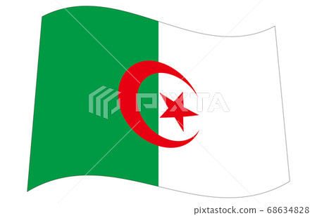 New World Flag 2:3Ver Waveform Algeria New World Flag 2:3Ver Waveform Algeria 68634828