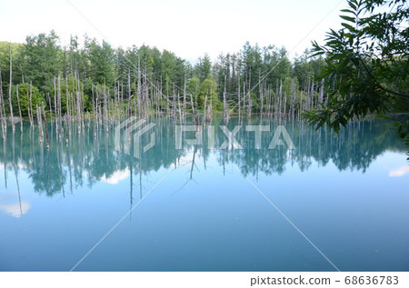 Biei's Blue Pond 68636783