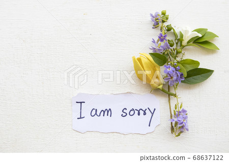 i am sorry message card handwriting on paper with ylang ylang yellow flowers 68637122