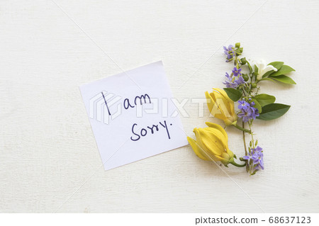 i am sorry message card handwriting on paper with ylang ylang yellow flowers 68637123