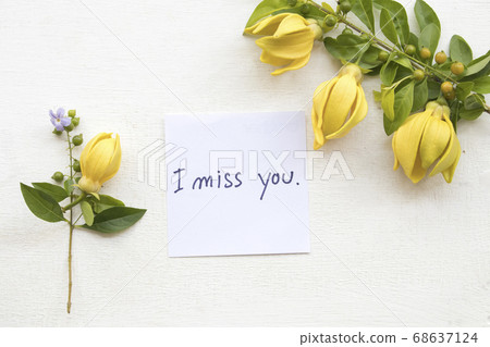 i miss you message card handwriting on paper with ylang ylang yellow flowers i miss you message card handwriting on paper with ylang ylang yellow flowers 68637124