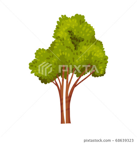 Tree with Exuberant Green Foliage and Trunk Vector Illustration Tree with Exuberant Green Foliage and Trunk Vector Illustration 68639323