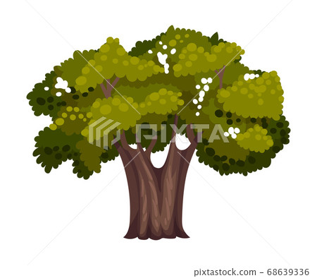 Tree with Exuberant Green Foliage and Trunk Vector Illustration Tree with Exuberant Green Foliage and Trunk Vector Illustration 68639336