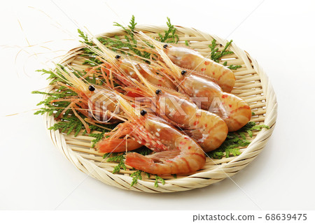 Peony shrimp in a colander (white background) 68639475