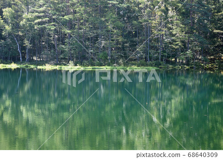 奧立立的岡之塚池塘 68640309