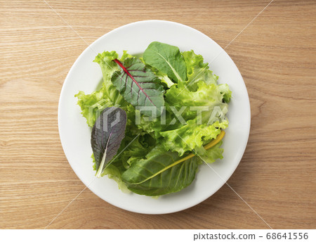 Reef Mix Salad 68641556