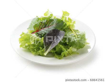 礁混合沙拉 68641561