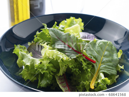 Reef Mix Salad 68641568