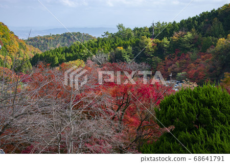 Katsuo-dera of autumnal leaves 68641791