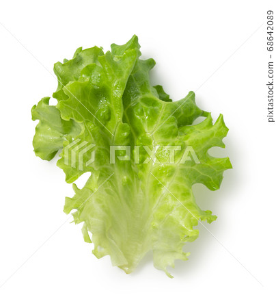 Frill lettuce 68642089