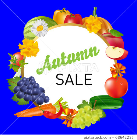 autumn sale. Vector drawing of fruits, vegetables and flowers for the autumn sale. Frame for design autumn sale. Vector drawing of fruits, vegetables and flowers for the autumn sale. Frame for design 68642255
