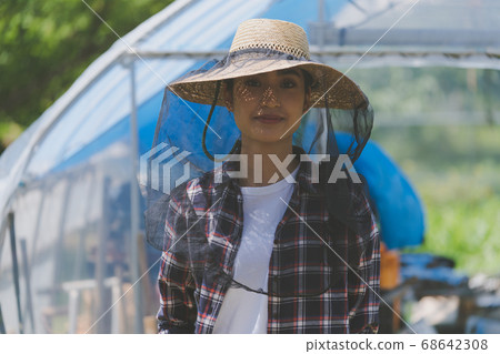 agriculture, farming, female 68642308
