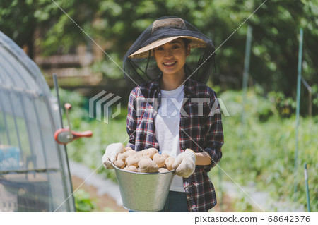 農業 農作 農事 68642376