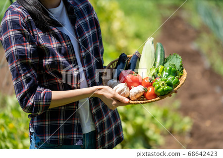 vegetables, vegetable, female 68642423