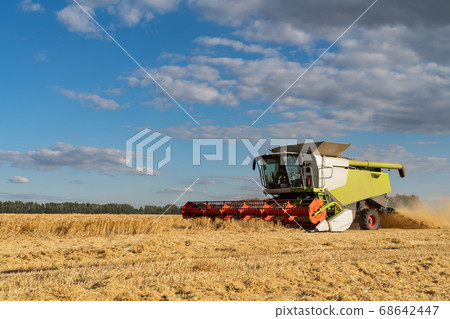 Combine harvester harvests ripe wheat. agriculture image 68642447