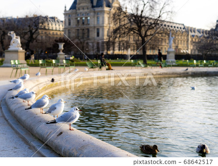 Foreign parks Waterfowl resting at the waterside 68642517