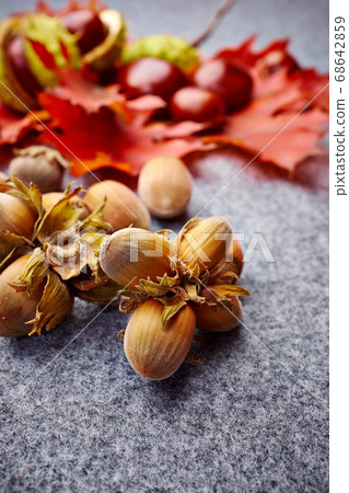 open envelope with autumnal greetings like open envelope with autumnal greetings like 68642859