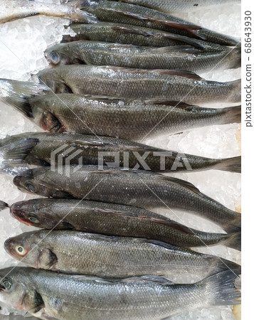Salmon trout red fish on ice in supermarket. Raw whole salmon, red trout fish in ice seafood shop display. 68643930
