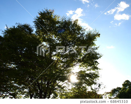 A short detour after work 68645310