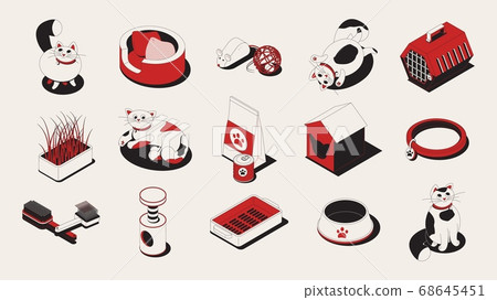 Cat Isometric Icon Set 68645451