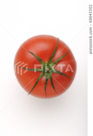 Tomato   68645502