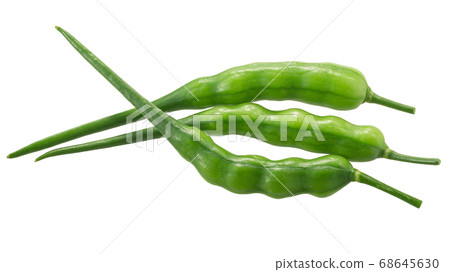 Radish pods (Raphanus sativus silique) isolated on 68645630