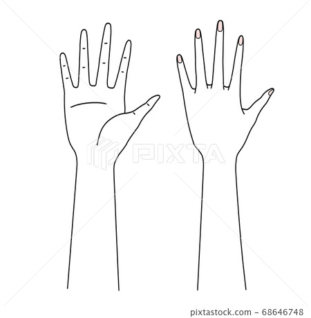 Palm of the hand 68646748