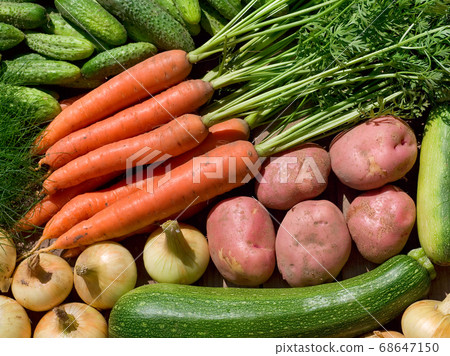 fresh homegrown vegetables 68647150